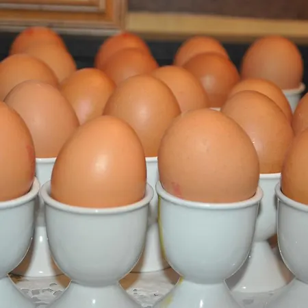 De Viertorre מלון 2*