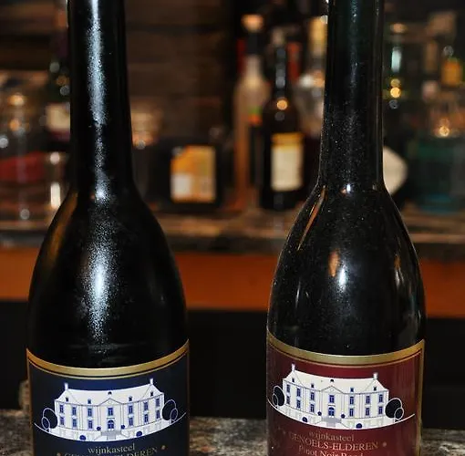 Hotel Hotel De Viertorre 2*