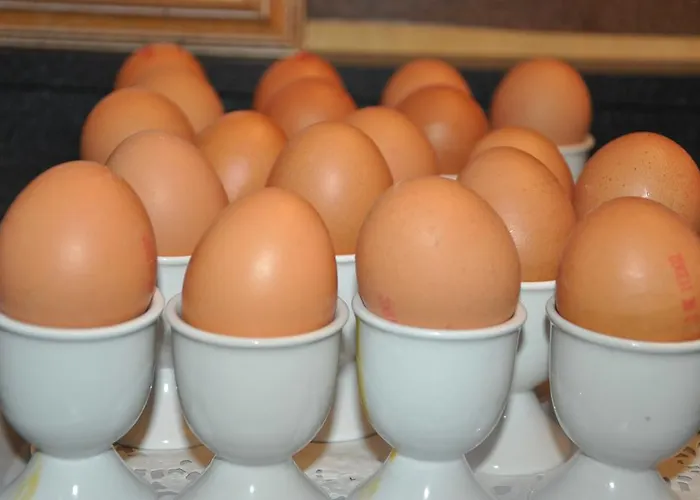 Hotel De Viertorre Hotel 2*